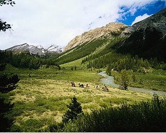 在《萌兽镇：建城卡斗》中开启奇幻卡牌冒险之旅！现已支持简体中文与繁体中文！
