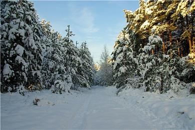 《最终幻想7：重生》被ESRB评为T级 有暴力和暴露服装等